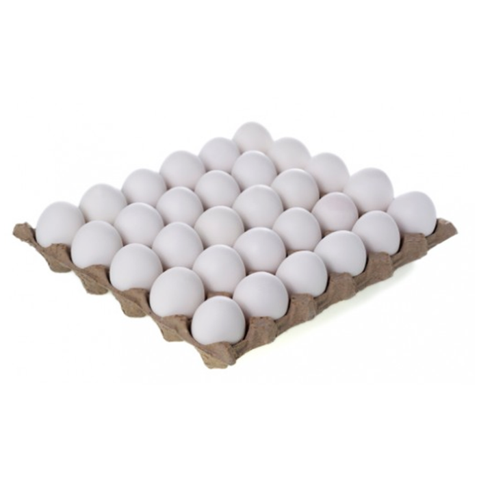 9a45664addd5c8cd20ec06d973073119.png