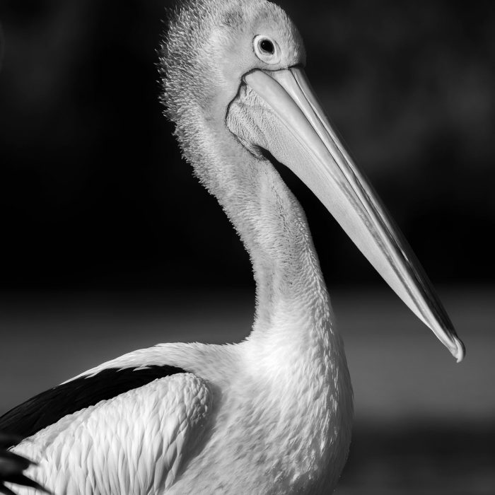 36aaee5d8381f7934a2a215c4b907064.jpg