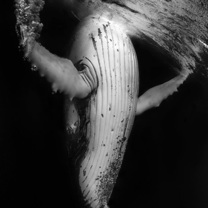 f1478e0598f101a6a14fb536cde39430.jpg