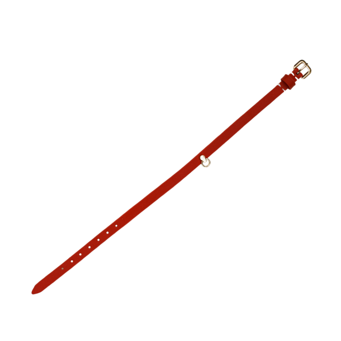 b10ada137a77ce21416f8f234aceaff4.png